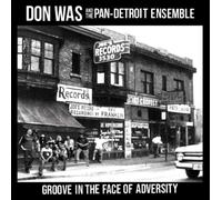 Don Was - Groove In The Face Of Adversity (180 g) (LP)