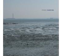 fennesz - fennesz-black sea 2022 re issue 2x12'