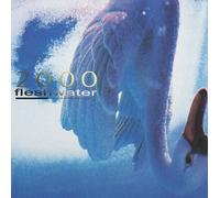 <![CDATA[Fleshwater - 2000: In Search Of The Endless Sky (Indie Exclusive) (Pink Coloured) (LP)]]>