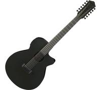 Ibanez AEG1221-BOT