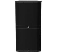 <![CDATA[Mackie DRM315 Diffusore Attivo]]>