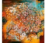 Magnetic Ghost Orchestra - Holding On To Wonder (LP)