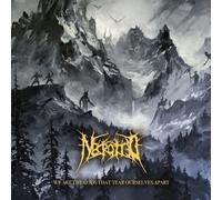 Necrotted - We Are The Gods That Tear Ourselves Apart (LP)
