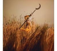 <![CDATA[Patrick Wolf - Crying The Neck (Limited Edition) (Brown /Yellow Coloured) (2 LP)]]>
