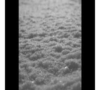 <![CDATA[Paysage D'Hiver - Schnee (Reissue) (2 LP)]]>