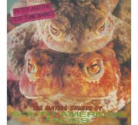 The Mating Sounds Of South American Frogs