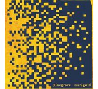 Pinegrove Marigold (Vinyl LP)