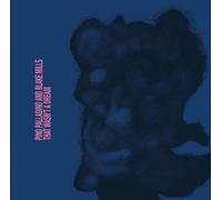 <![CDATA[Pino Palladino And Blake Mills - That Wasn't A Dream (LP)]]>