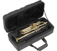 <![CDATA[SKB Cases 1SKB-SC330 R Borsa Tromba]]>