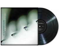 Steve Hogarth & Richard Barbieri Not the Weapon But the Hand (Vinyl LP)