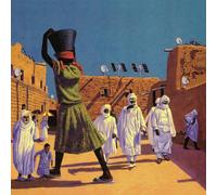 The Mars Volta The Bedlam in Goliath (Vinyl LP) 12" Album