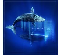 <![CDATA[The Naked Souls - Reverb From The Depths (2 LP)]]>