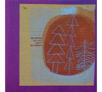 Pastels The Last Great Wilderness (Vinyl LP) 12" Album