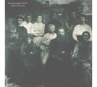 The Pineapple Thief - Abducted At Birth (2 LP)