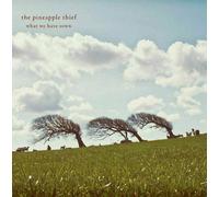 The Pineapple Thief What We Have Sown (Vinyl LP) 12" Album