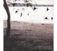 <![CDATA[The Tallest Man On Earth - There's No Leaving Now (LP)]]>