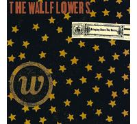 The Wallflowers Bringing Down the Horse (Vinyl LP) 12" Album