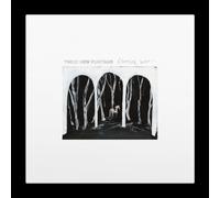 These New Puritans - Crooked Wing (Black Coloured) (LP)