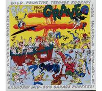 Various Artists - Back From The Grave Volume 5 (Reissue) (LP)