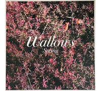 <![CDATA[Wallows - Spring (Green & Pink Coloured) (12" Vinyl)]]>