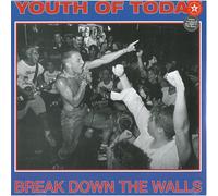 Youth Of Today Break Down The Walls (Vinyl LP)