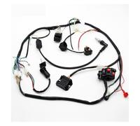 CDI Accenditore Cablaggio Cavo CDI Bobina Accensione Gruppo Per ATV QUAD BUGGY GO KART 150cc 200cc 250cc 300cc Motociclo Accensione CDI Box