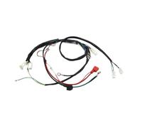 CDI Accenditore Cablaggio elettrico completo Spark CDI Bobina di accensione Kit per Dirt Bike 50cc 110cc 120cc Zongshen Loncin CDI Box