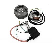 CDI Accensione 12V Linksdrehend per Hercules GT MK3 MK4 Sachs 501 Puch Maxi