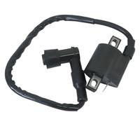 cdi cappuccio stators centralina Per Grizzly 660 Per 50cc 125cc 150cc 200cc Per D8TC CG ZJ ATV Quad Dirt Pit Bike Moto Accenditore CDI BOX Bobina Di Accensione
