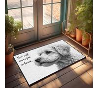 CDSS Autunno Rugs Outdoor Never Pee In Home: uno zerbino con la promessa di un cane, tappeto esterno per porta d'ingresso, tappetino invernale per esterni (50 x 80 cm)