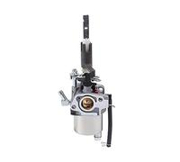 CDwSNF Carburatore for Motore spazzaneve LCT 254CC 20001171 con Controllo del Minimo SPARGI Neve Carburatore Carburador Carb