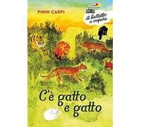 C'è gatto e gatto. Ediz. a colori