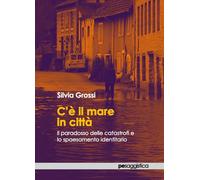 C'è il mare in città. Il paradosso delle catastrofi e lo spaesamento identitario