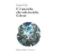 C'è un cielo che vola in cielo, Celeste