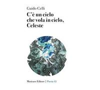 C'è un cielo che vola in cielo, Celeste