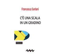 C'è una scala in un gradino