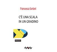 C'è una scala in un gradino