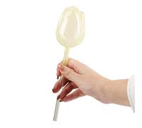 CeaBulo I tulipani d'irrigazione di vetro delle lampadine modellano i dispositivi d'irrigazione automatici per la pianta dell'interno ed