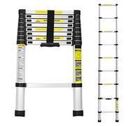 Cecaylie - Scala telescopica allungabile in alluminio con gancio rimovibile, antiscivolo, multiuso, portata 150 kg, lunghezza 2,6 m
