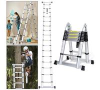 Cecaylie Scala telescopica telescopica in alluminio, 5 m, 2,5 m + 2,5 m, pieghevole, scala telescopica allungabile, JZ250D, portata massima 150 kg, colore argento