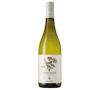 Cecchi Caprifoglio Maremma Toscana DOC Viognier 2024 0,75 ℓ