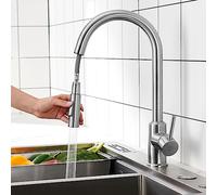 CECIPA Rubinetto Lavello Cucina, Miscelatore Cucina con Doccetta Estraibile 2 Modalità Acqua, Rubinetto Acciaio Inox Girevole a 360°, Risparmio Idrico, Spazzolata