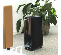 Cecotec - Deumidificatore Big Dry 4000 Expert. Timer 24 h, silenzioso indicatore LED (Nero, BigDry 4000 Expert Black)