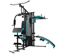 Cecotec Stazione Fitness per Allenamento Drumfit Homegym 2000 Double. Multifunzione del Corpo, 2 Stagioni, Blocco Pesi Totale 65 Kg, Full-Body Workout, Cuscinetti Imbottiti, Peso Massimo 150 Kg