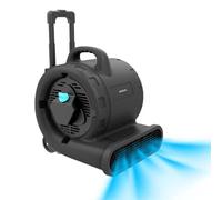 Cecotec Ventilatore Essiccatore di Moquette - Ventilatore di Asciugatura Blowindustry 6000 Flowfloor. 600W, 1350RPM, 3 Velocità, Flusso Aria 2700m³/h, Ruote e Manico Retrattile, Controllo Intuitivo