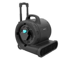 Cecotec Ventilatore Essiccatore di Moquette - Ventilatore di Asciugatura Blowindustry 6000 Flowfloor. 600W, 1350RPM, 3 Velocità, Flusso Aria 2700m³/h, Ruote e Manico Retrattile, Controllo Intuitivo