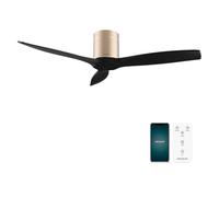 Cecotec - Ventilatori da Soffitto EnergySilence Aero 5500 Aqua GoldBlack Connected - 40 W, Diametro 132 cm, Wi-Fi, Protezione IP44, Timer 8 Ore, 3 Pale, 6 Velocità, Estate/Inverno
