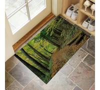 CEDNXOER Tappeto Foglie Cadute Strada Ingresso Interno, Zerbino Tappeti Natura Foresta 50 x 80 cm Antiscivolo Lavabile in Lavatrice Verde Tapette Cucina Camera da Letto Entrata Scendiletto