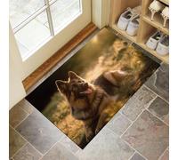 CEDNXOER Zerbino Antiscivolo di Benvenuto 50 x 70 cm, Lavabile Tappetino per Porta D'Ingresso Sunshine Pastore Tedesco, Tema Natura Animali, Zerbino da Cucina per Ingresso Assorbente Oro