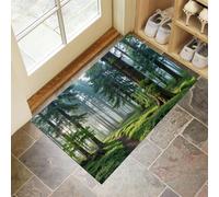 CEDNXOER Zerbino Ingresso interno 45 x 75 cm, Tappetini per Porte da Interno Lavabili Nebbia Foresta, Zerbino da Interno Antiscivolo Natura Piante, Tappetino Assorbente per Ingresso Verde